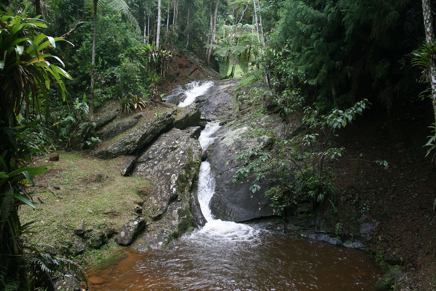 Eco Lodge Itororó Brazil Rainforest