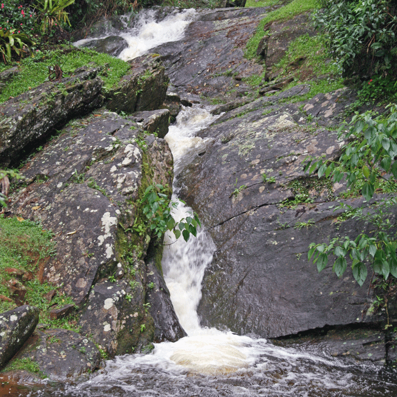 EcoLodge-Itororo-1
